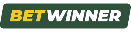 Everything You Need to Know About Betwinner APK